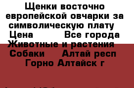 Щенки восточно европейской овчарки за символическую плату › Цена ­ 250 - Все города Животные и растения » Собаки   . Алтай респ.,Горно-Алтайск г.